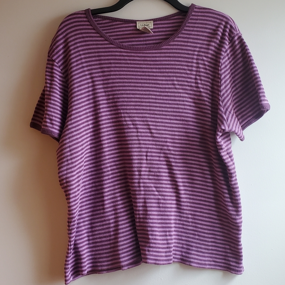 L.L. Bean Women's Purple Striped Short Sleeve Shirt